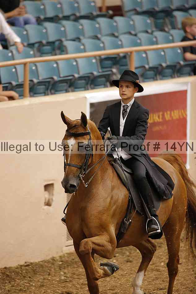 Proof 14yn_01039