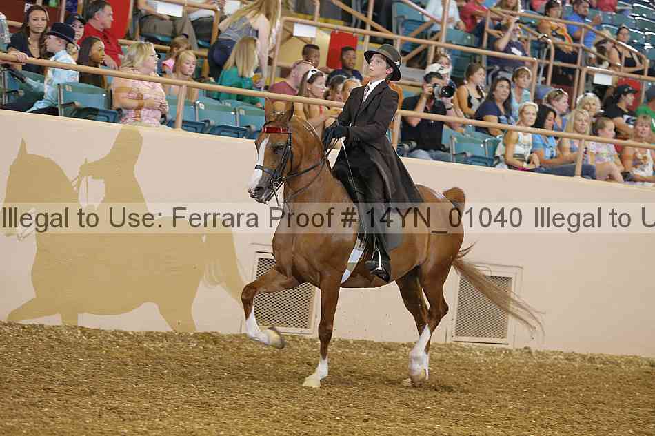 Proof 14yn_01040