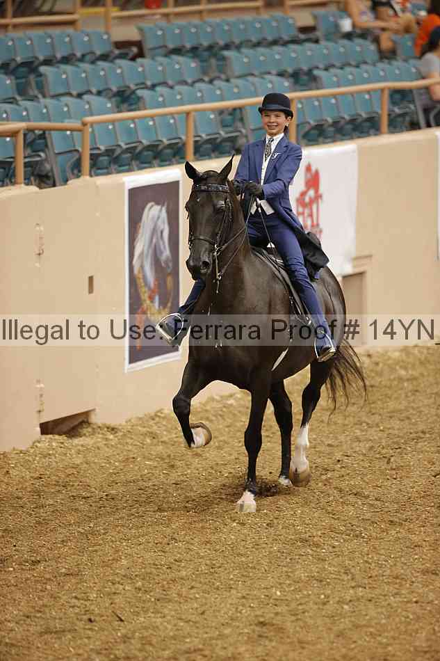 Proof 14yn_01045
