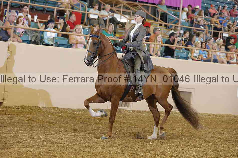 Proof 14yn_01046