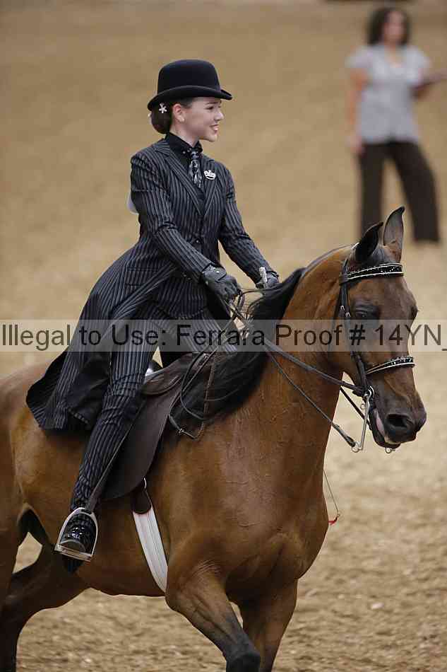 Proof 14yn_01048