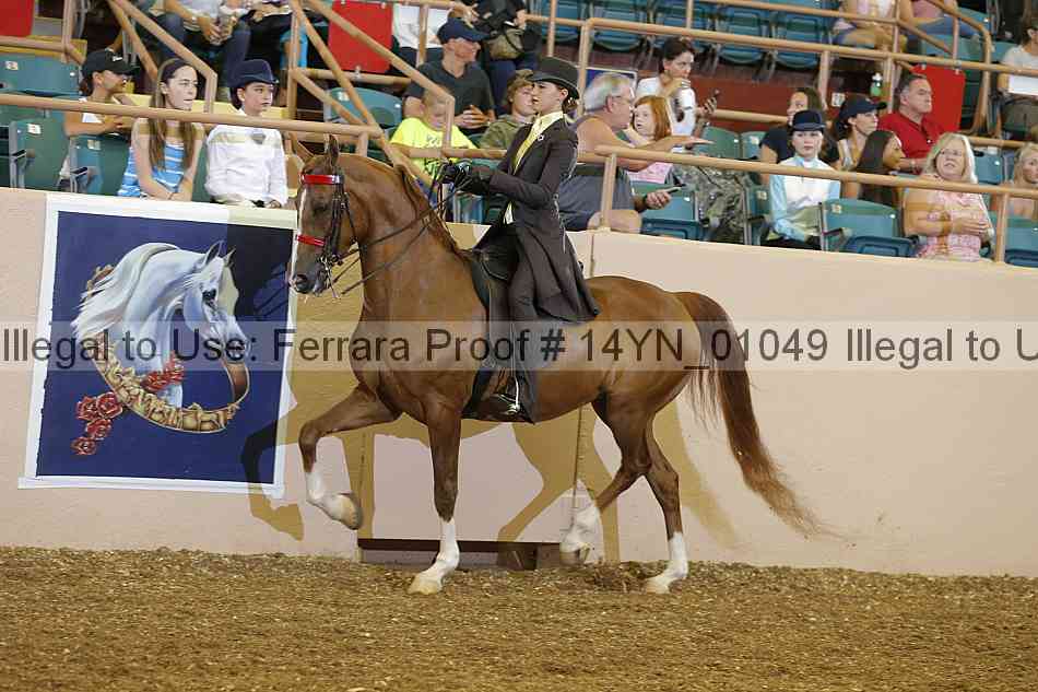 Proof 14yn_01049