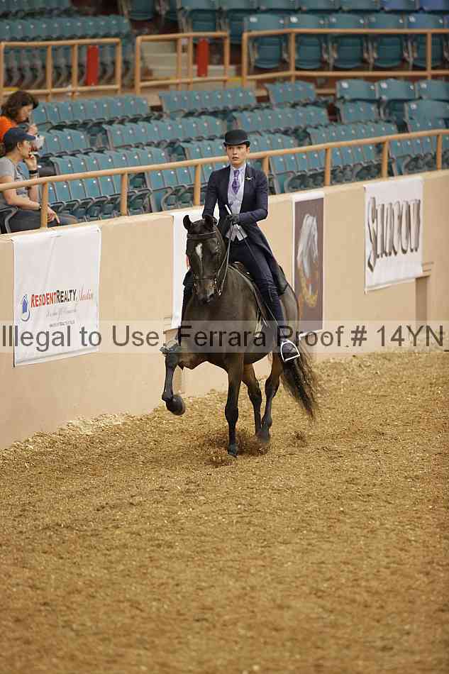 Proof 14yn_01050