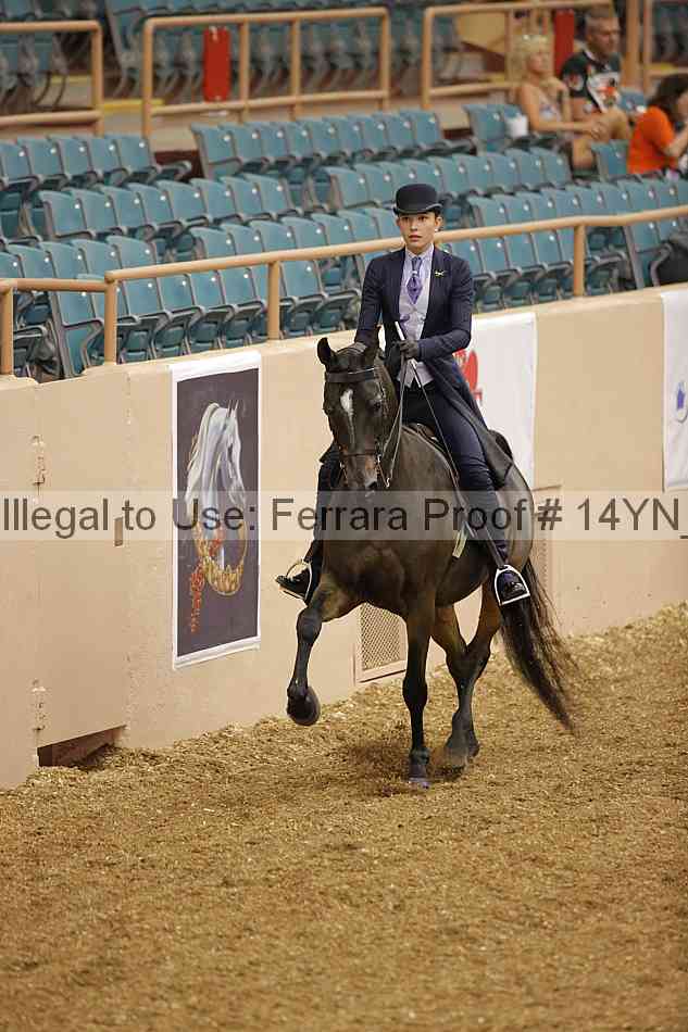 Proof 14yn_01051