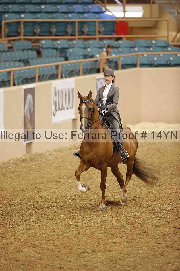 Proof 14yn_01052
