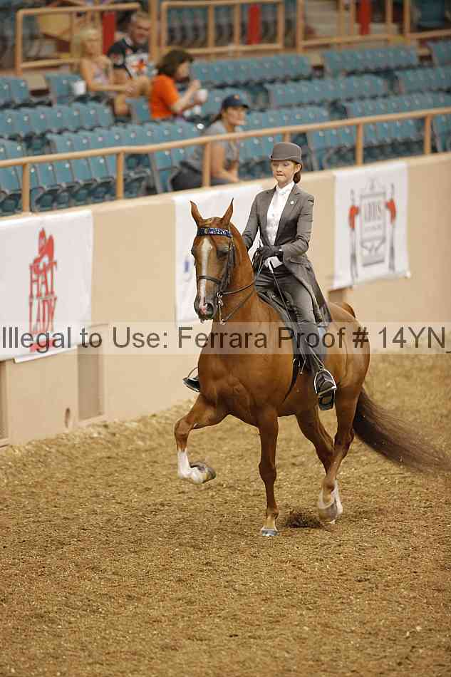 Proof 14yn_01053
