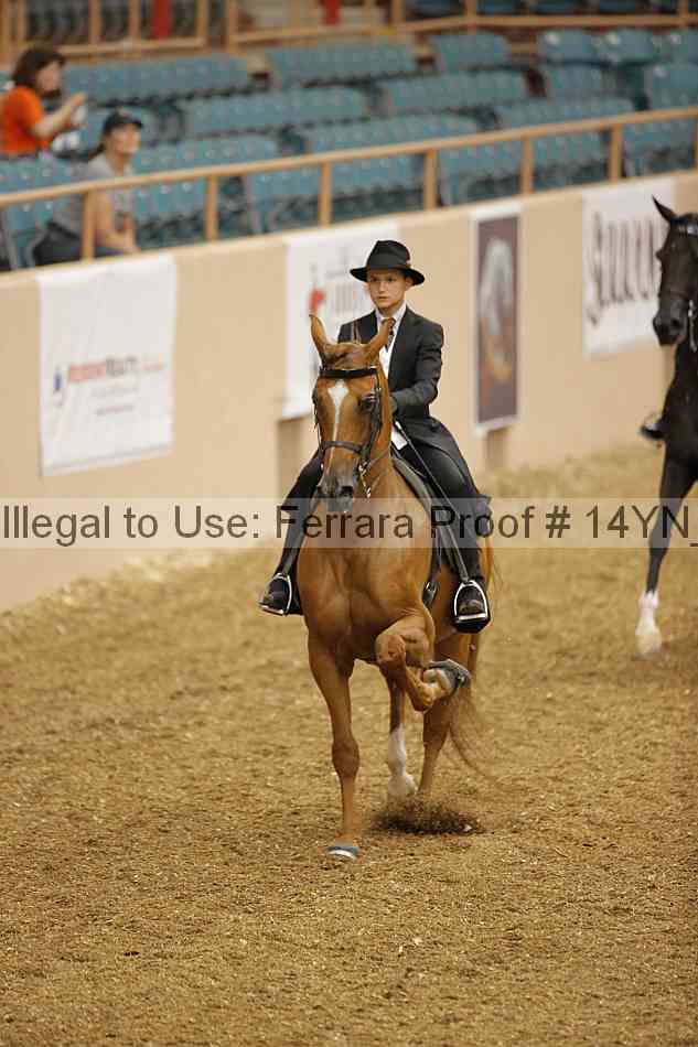 Proof 14yn_01054
