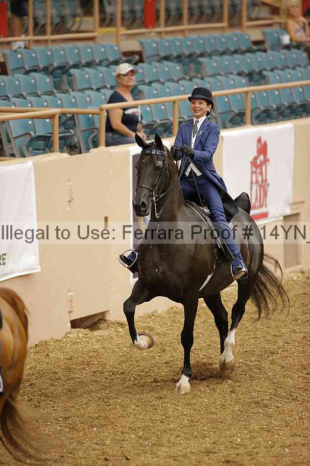 Proof 14yn_01055
