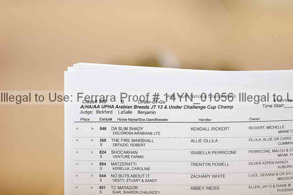 Proof 14yn_01056