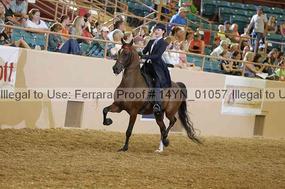 Proof 14yn_01057