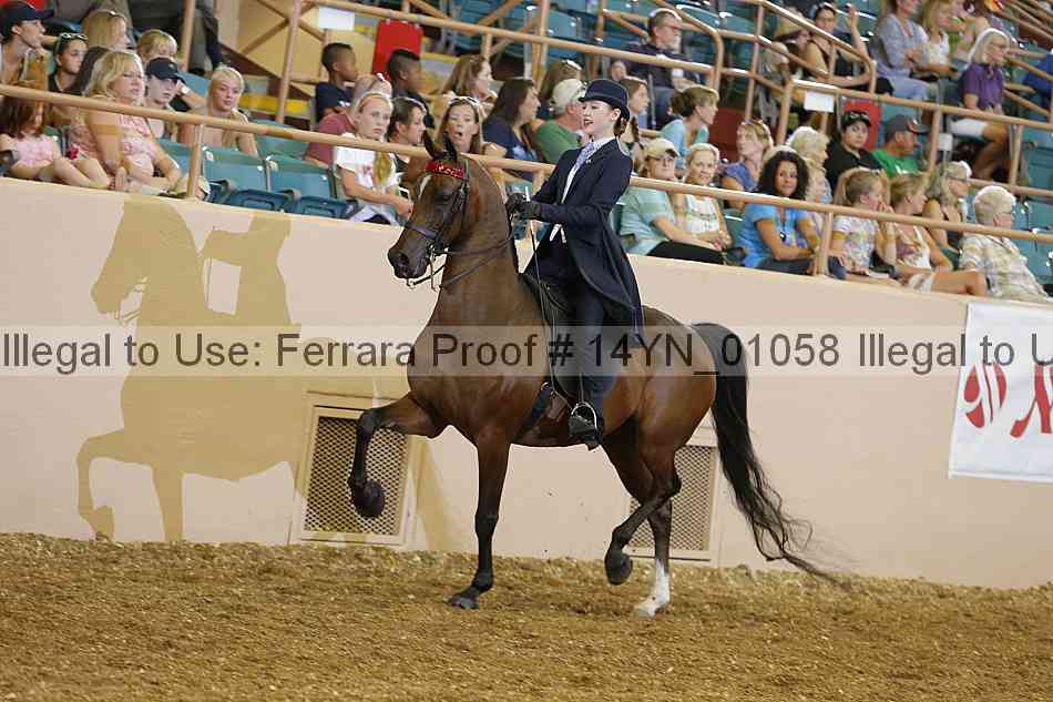 Proof 14yn_01058