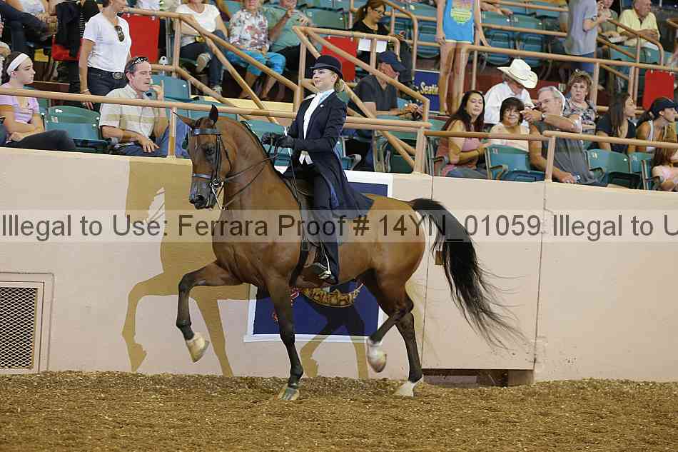 Proof 14yn_01059