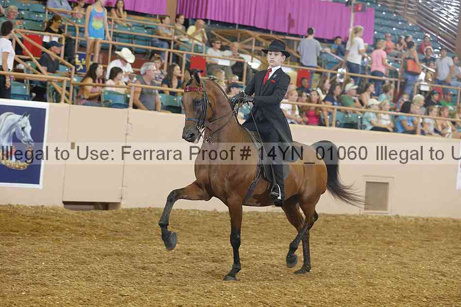 Proof 14yn_01060