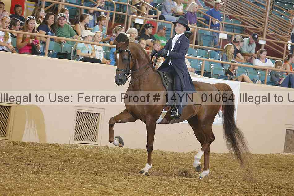Proof 14yn_01064