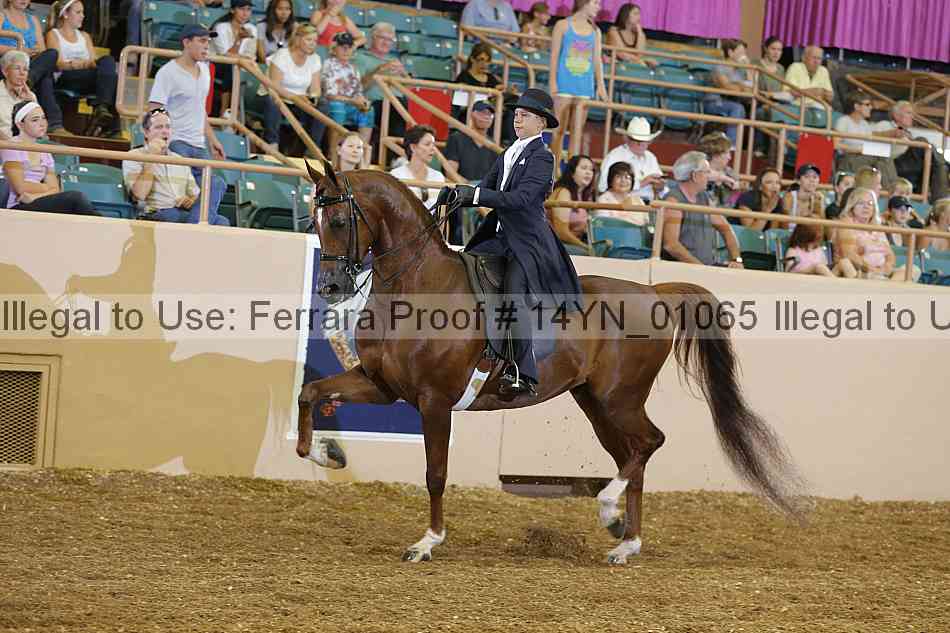 Proof 14yn_01065