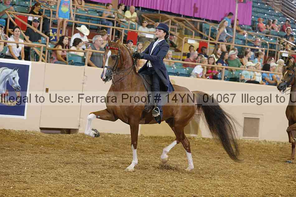 Proof 14yn_01067