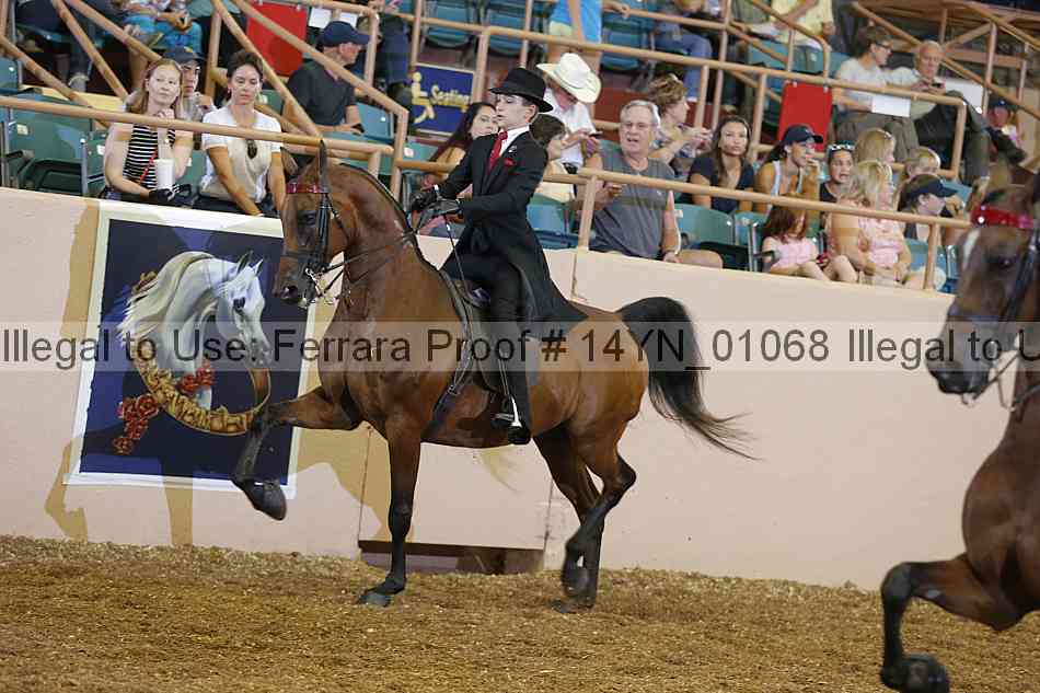 Proof 14yn_01068