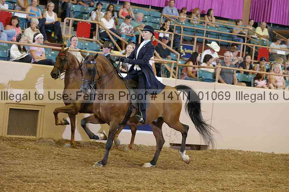 Proof 14yn_01069