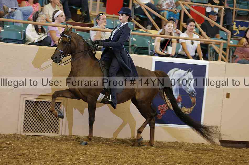 Proof 14yn_01071