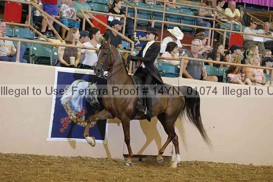 Proof 14yn_01074