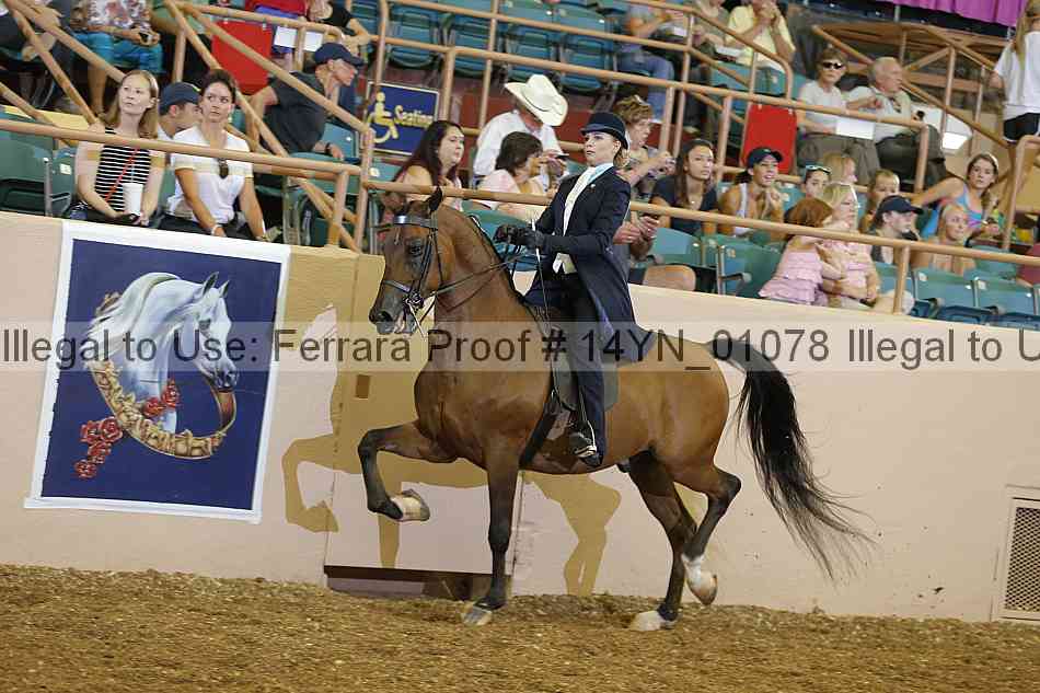 Proof 14yn_01078