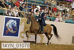 14yn_01078 proof
