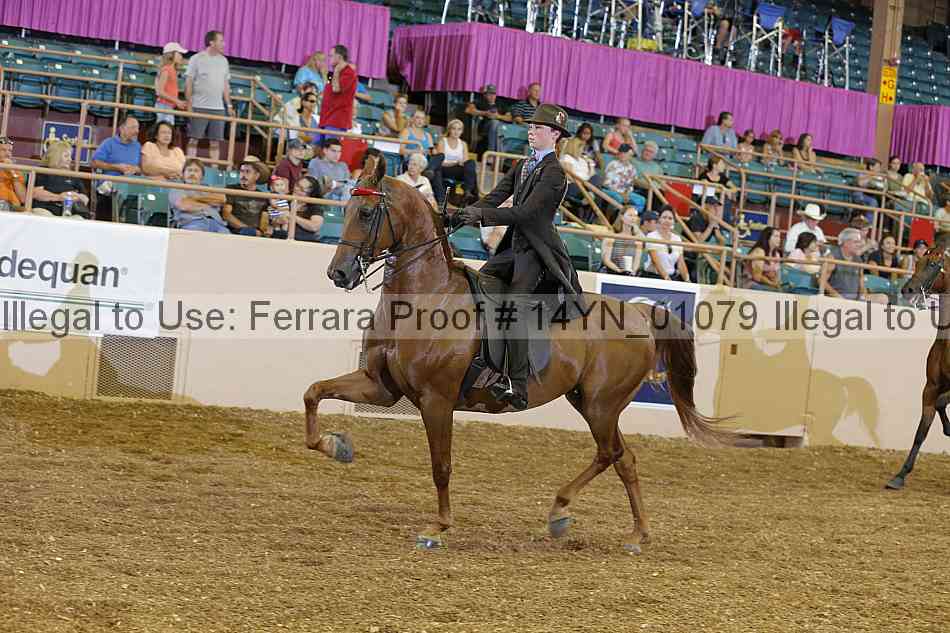 Proof 14yn_01079