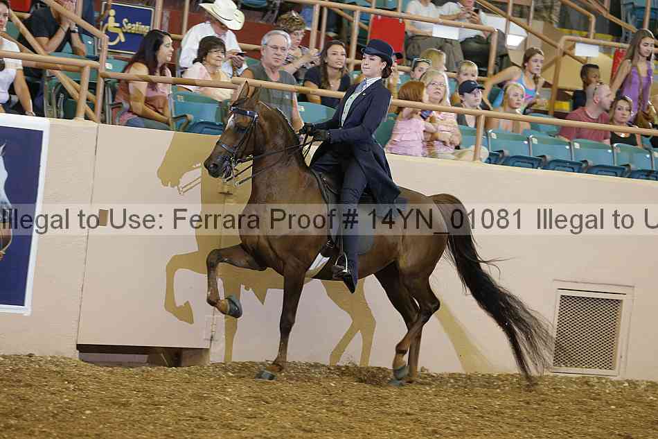 Proof 14yn_01081