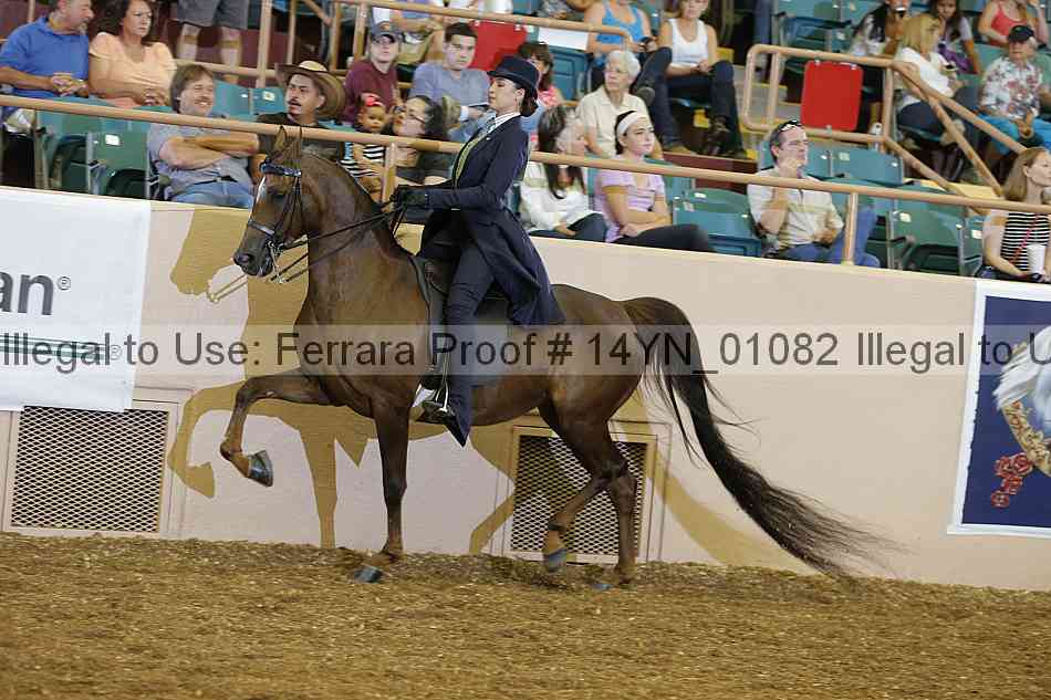 Proof 14yn_01082