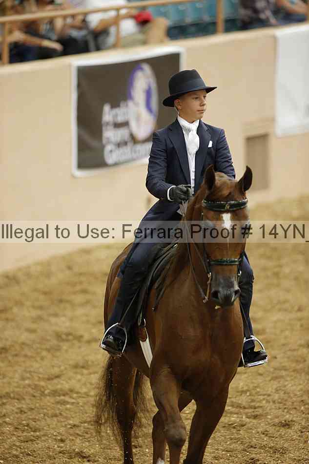 Proof 14yn_01084