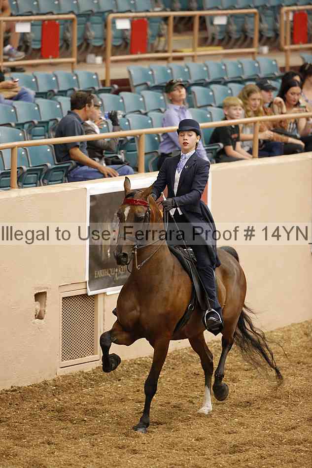 Proof 14yn_01086