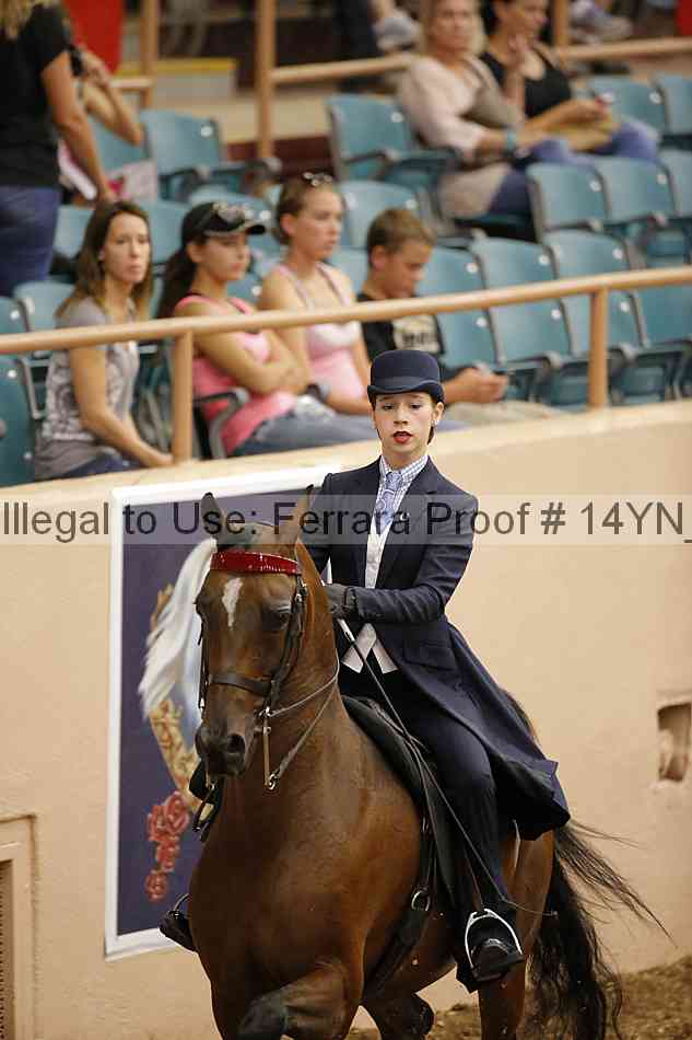 Proof 14yn_01087