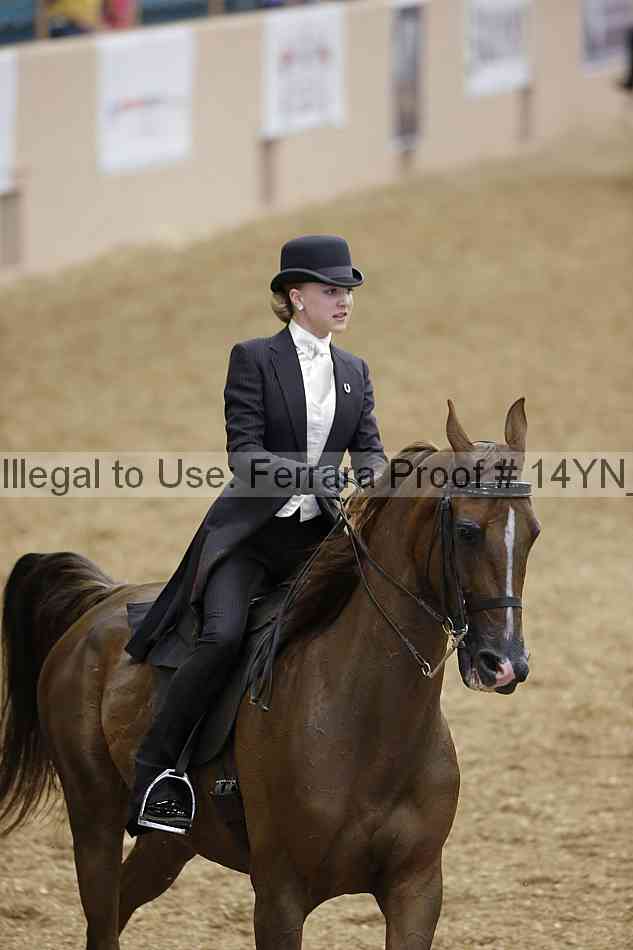 Proof 14yn_01088