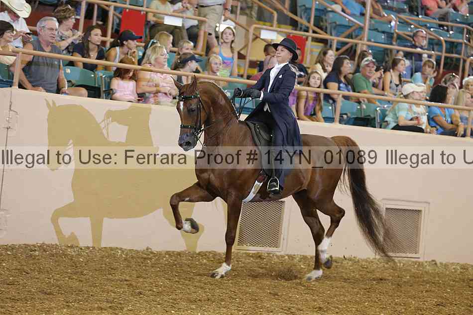 Proof 14yn_01089