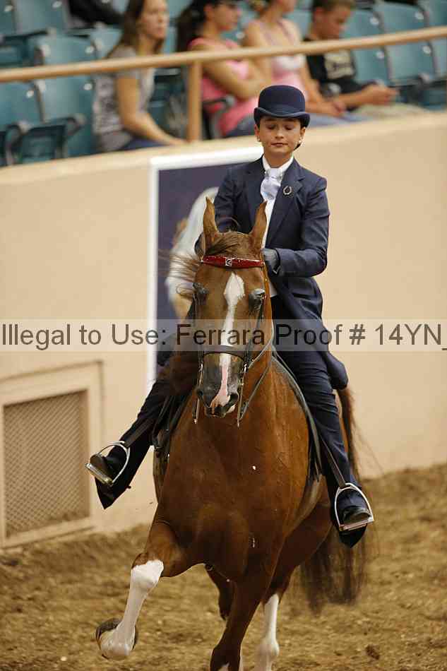Proof 14yn_01091