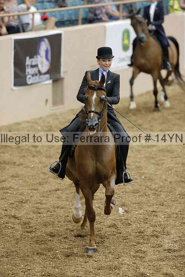Proof 14yn_01094