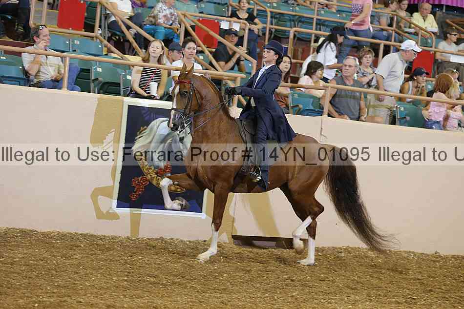 Proof 14yn_01095