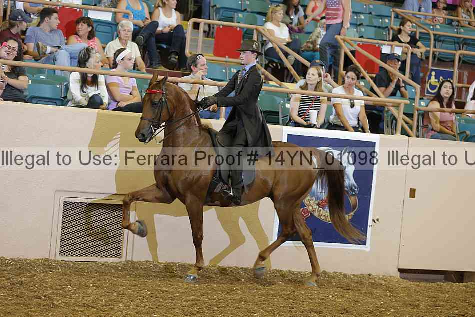 Proof 14yn_01098