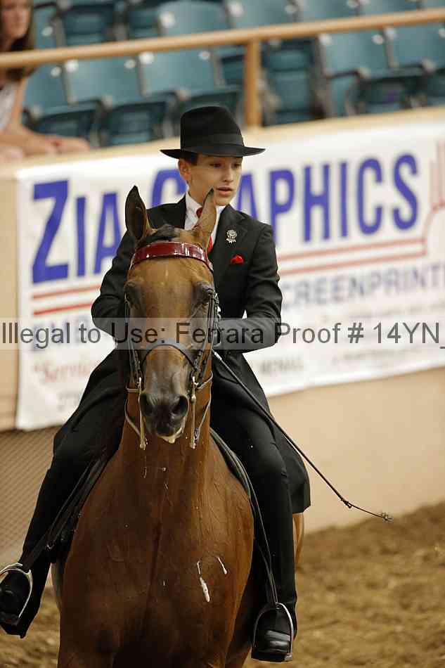 Proof 14yn_01099