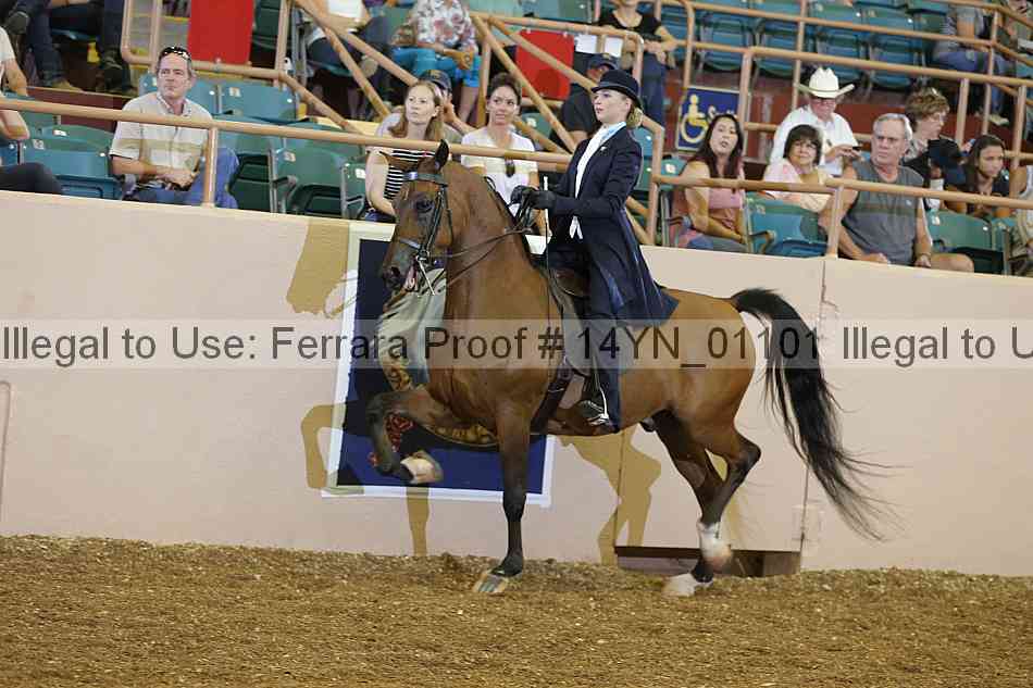 Proof 14yn_01101