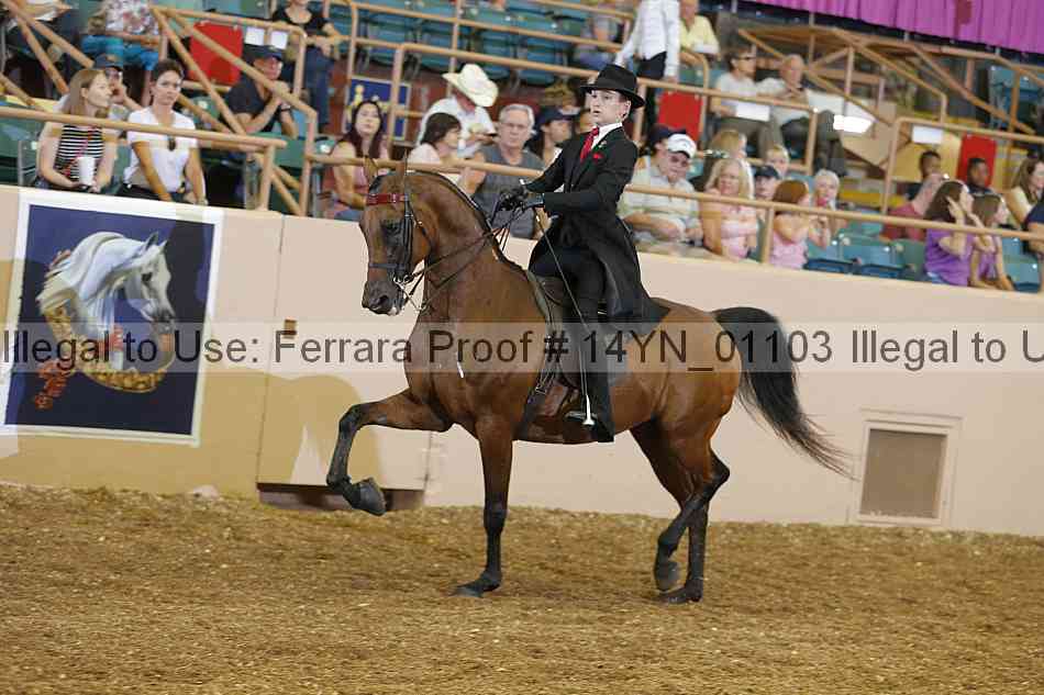 Proof 14yn_01103