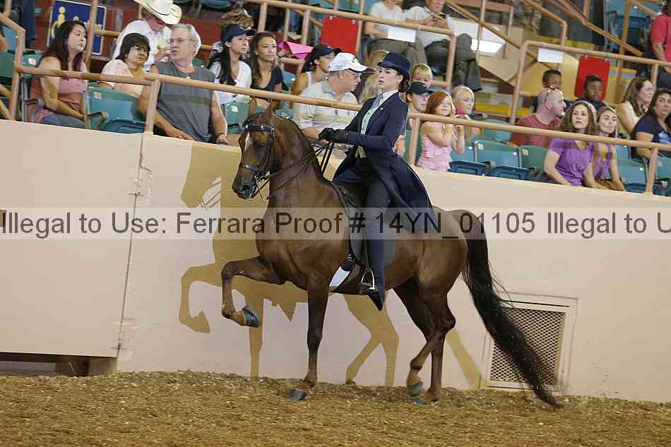 Proof 14yn_01105