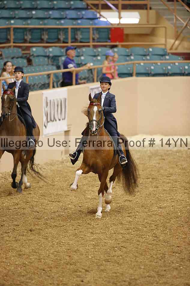 Proof 14yn_01106