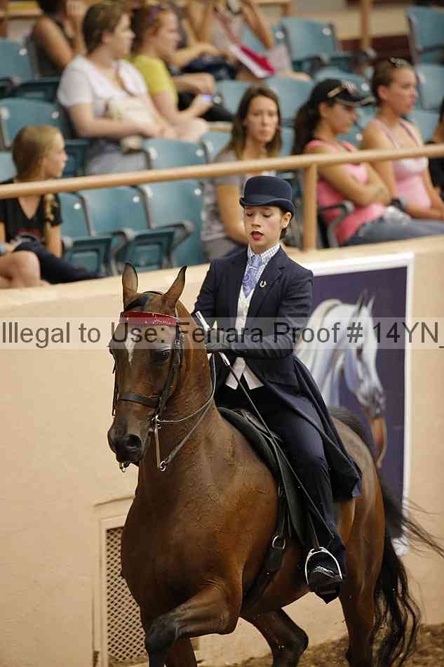 Proof 14yn_01108