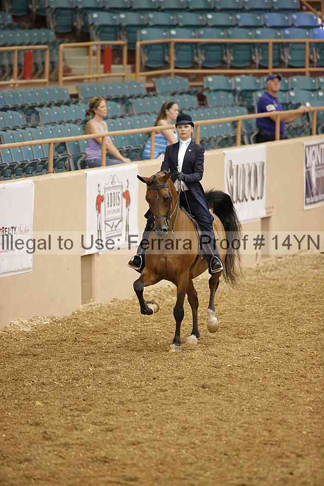 Proof 14yn_01109