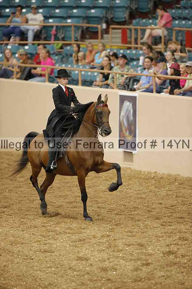 Proof 14yn_01116