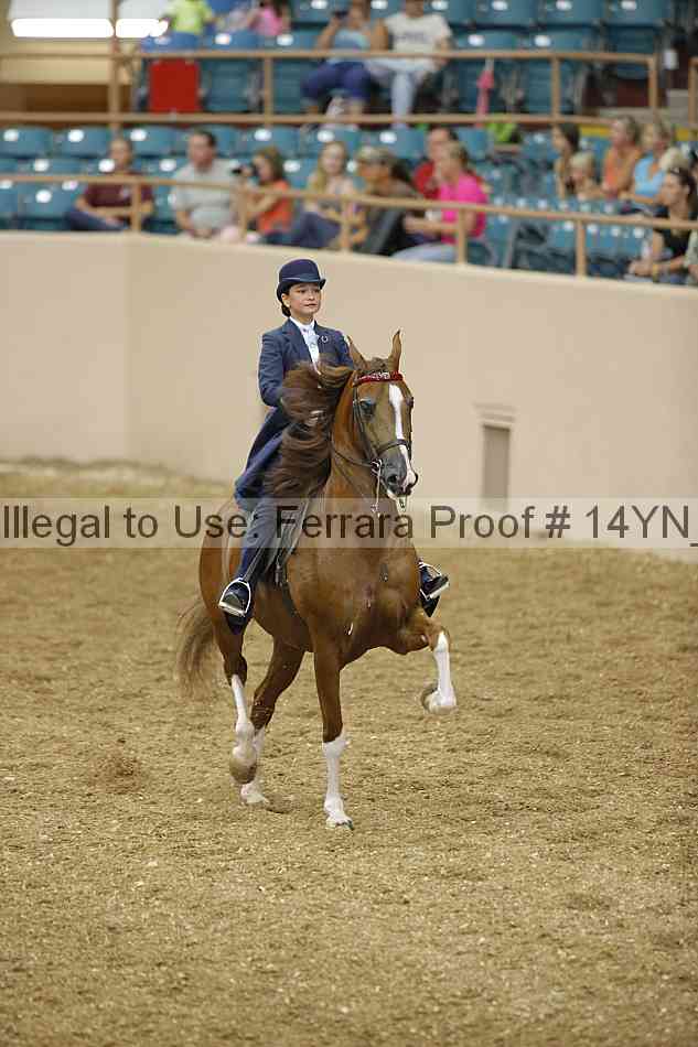 Proof 14yn_01117