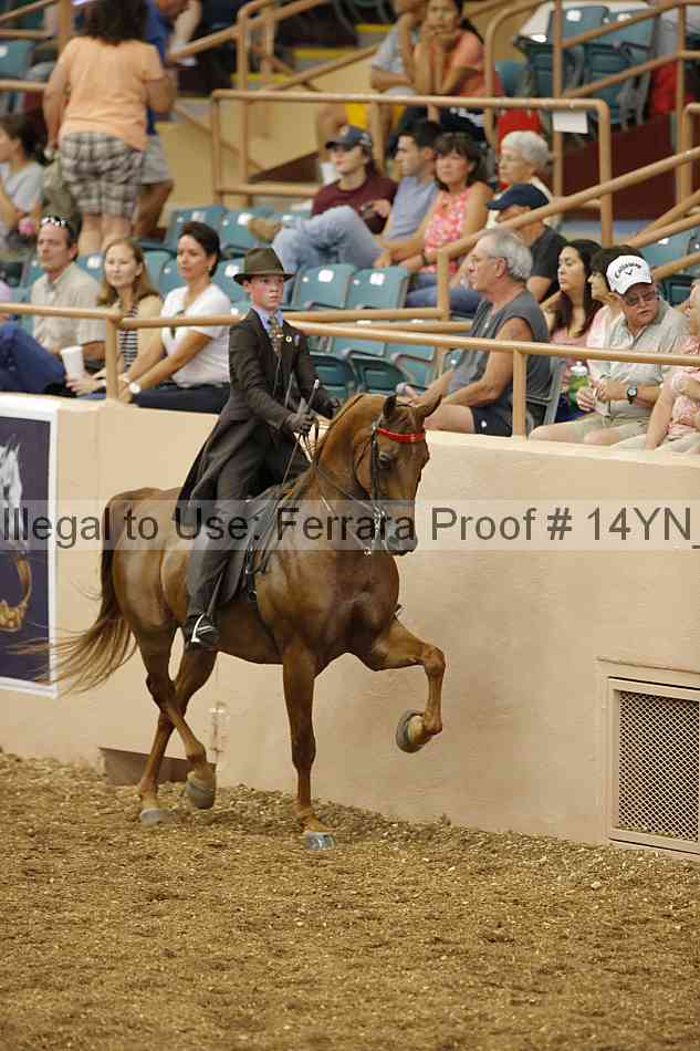 Proof 14yn_01118