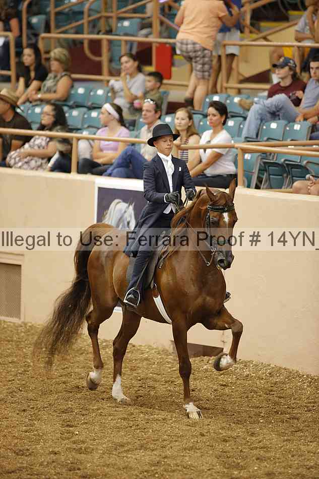 Proof 14yn_01119