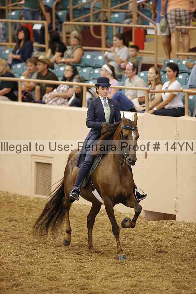 Proof 14yn_01120